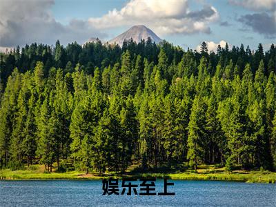 林修免费小说(娱乐至上)全文无弹窗阅读林修大结局免费阅读无弹窗