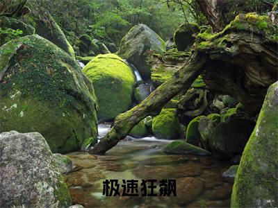 李强（李强）全文免费阅读无弹窗_极速狂飙小说免费阅读_笔趣阁