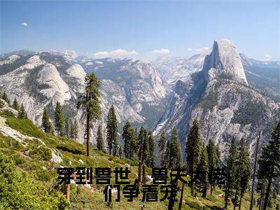 穿到兽世,兽夫大佬们争着宠(冷月汐)小说精彩免费内容_穿到兽世,兽夫大佬们争着宠冷月汐最新章节全文阅读