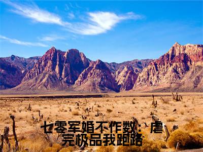七零军婚不作数:虐完极品我跑路小说免费阅读无弹窗-七零军婚不作数:虐完极品我跑路(简袅袅)小说免费阅读无弹窗大结局