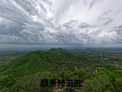卫杏穆羡知免费小说(穆羡知卫杏)全文无弹窗阅读卫杏穆羡知大结局免费阅读无弹窗