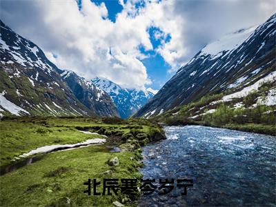 主角叫岑岁宁北辰寒的小说-(北辰寒岑岁宁)岑岁宁北辰寒全文无弹窗完整版阅读