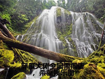 穿成大佬全网黑前妻,杀疯娱乐圈(赵清欢陆淮年)全文免费阅读无弹窗大结局_穿成大佬全网黑前妻,杀疯娱乐圈最新章节列表_笔趣阁(赵清欢陆淮年)