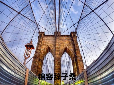 子桑锦容辞(锦容辞子桑)全文免费阅读_(锦容辞子桑)子桑锦容辞最新章节列表_笔趣阁