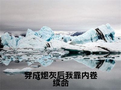 穿成炮灰后我靠内卷续命小说(虞子祯)全文完整版免费阅读-虞子祯全文完整版免费阅读(虞子祯)