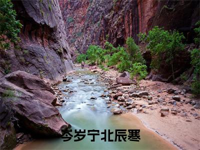 《岑岁宁北辰寒》无弹窗大结局-(岑岁宁北辰寒)无弹窗阅读最新章节列表_笔趣阁