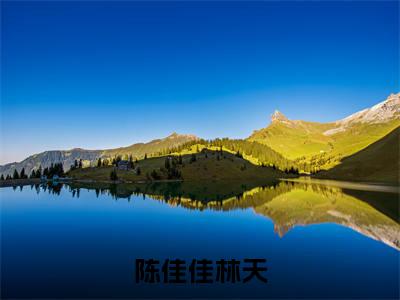 陈佳佳林天小说(陈佳佳林天已完结小说全集完整版大结局)陈佳佳林天小说全文阅读笔趣阁