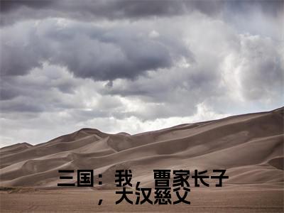 曹昂(三国:我,曹家长子,大汉慈父小说)全文免费阅读无弹窗大结局_三国:我,曹家长子,大汉慈父小说最新章节列表