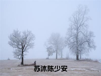 陈少安苏沐（苏沐陈少安）全文免费阅读_苏沐陈少安全文阅读_笔趣阁