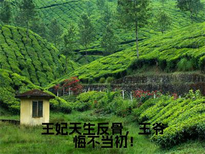莫北焱楚青翘王妃天生反骨，王爷悔不当初！完整全文在线阅读莫北焱楚青翘全文大结局阅读无弹窗
