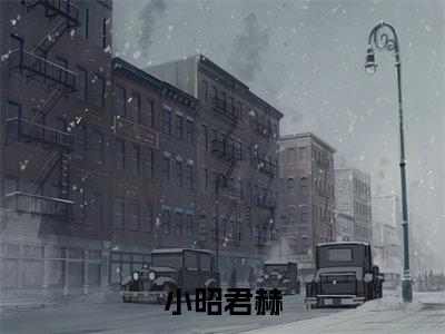 小昭君赫(君赫小昭)小说全文免费阅读大结局-小昭君赫免费阅读无弹窗大结局
