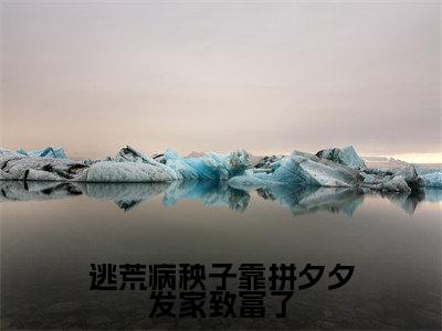 逃荒病秧子靠拼夕夕发家致富了小说最新试读_李长溪是(逃荒病秧子靠拼夕夕发家致富了全文完整版免费阅读)_笔趣阁