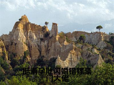 宋雪薇陆铭轩免费小说,挺着孕肚闪婚错嫁豪门大佬全文免费阅读无弹窗大结局