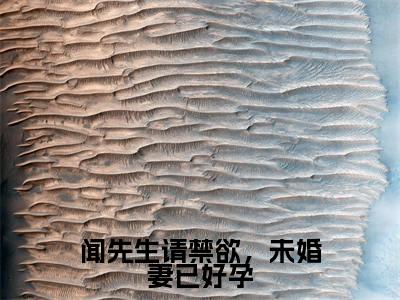 闻先生请禁欲,未婚妻已好孕(闻书砚沈知蒽)全文免费阅读无弹窗大结局_闻先生请禁欲,未婚妻已好孕小说(闻书砚沈知蒽)最新章节列表