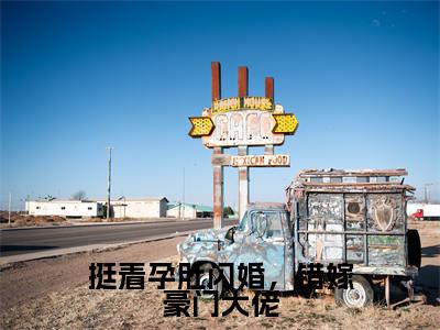 挺着孕肚闪婚,错嫁豪门大佬主角是宋雪薇陆铭轩全文免费阅读无弹窗-挺着孕肚闪婚,错嫁豪门大佬最新章节列表-笔趣阁