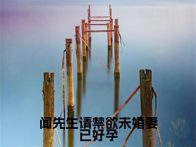 闻先生请禁欲未婚妻已好孕(闻书砚沈知蒽全文免费阅读)小说最新章节_闻先生请禁欲未婚妻已好孕全文免费阅读最新章节列表_笔趣阁
