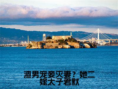 渣男宠妾灭妻?她二嫁太子君默小说全文免费阅读_(楚宁君默)渣男宠妾灭妻?她二嫁太子君默最新章节列表笔趣阁
