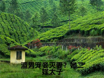 楚宁君默(渣男宠妾灭妻?她二嫁太子)女生必看小说全集_渣男宠妾灭妻?她二嫁太子(楚宁君默)全文免费阅读