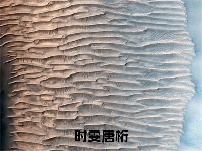 时雯唐桁小说全文(时雯唐桁)精选免费小说_时雯唐桁小说全文最新章节列表