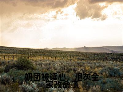 奶团被读心，炮灰全家改命了（沈知念）在哪免费看-奶团被读心，炮灰全家改命了小说（沈知念）全文完整版免费阅读
