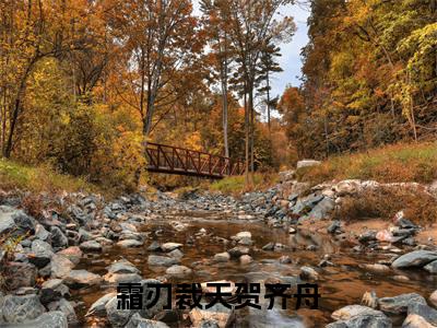 小说霜刃裁天贺齐舟无弹窗免费阅读-新上热文小说(贺齐舟)讲的是什么