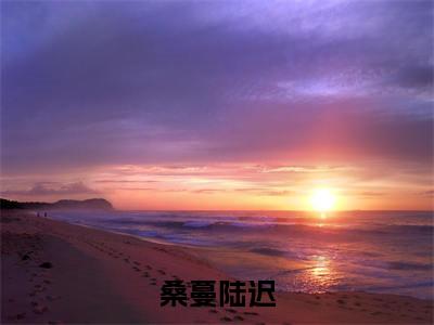（桑蔓陆迟）在线阅读-主角是（桑蔓陆迟）的小说桑蔓陆迟全文赏析最新章节列表_笔趣阁