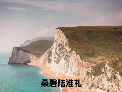 桑磬陆淮礼全文免费阅读无弹窗大结局_（桑磬陆淮礼阅读全文大结局）桑磬陆淮礼最新章节列表（桑磬陆淮礼）