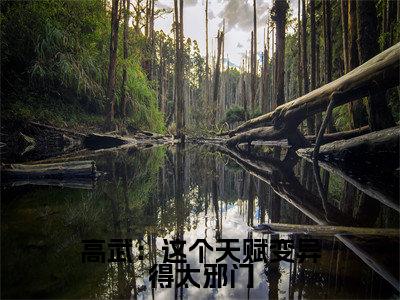 苏寒(高武:这个天赋变异得太邪门)全文小说免费阅读-苏寒最新章节列表_笔趣阁