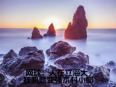 网球:人在立海大,挂机就变强木村小郎(高桥彦一木村小郎)全文免费阅读无弹窗大结局_网球:人在立海大,挂机就变强木村小郎最新章节列表(高桥彦一木村小郎)