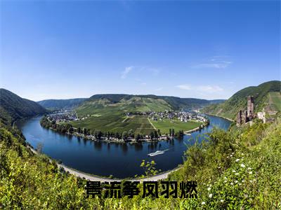 景流筝凤羽燃（凤羽燃景流筝）精选好书-凤羽燃景流筝无删减小说在线阅读（景流筝凤羽燃全文免费阅读）
