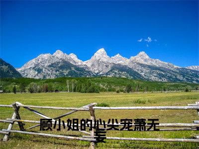 顾小姐的心尖宠萧无妄全文无弹窗阅读许烟慕萧无妄大结局全文免费