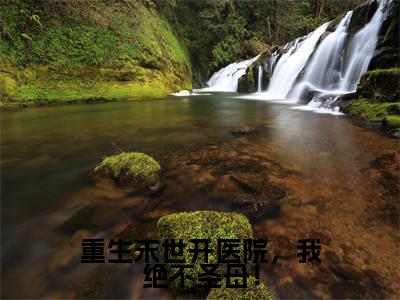 重生末世开医院,我绝不圣母!小说免费阅读无弹窗-重生末世开医院,我绝不圣母!(姜温怡陆久安)小说免费阅读无弹窗大结局