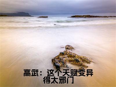 高武:这个天赋变异得太邪门小说全文免费阅读-(苏寒)高武:这个天赋变异得太邪门精选小说大结局阅读