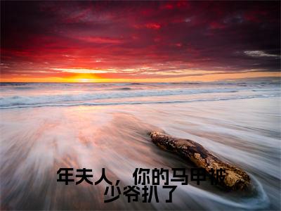 年夫人,你的马甲被少爷扒了(年景骁叶枳夏)全文免费阅读无弹窗大结局_年夫人,你的马甲被少爷扒了最新章节列表_笔趣阁(年景骁叶枳夏)