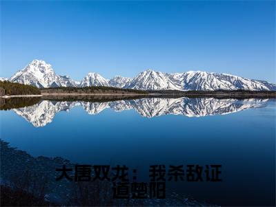 大唐双龙:我杀敌证道楚阳最新热门榜单小说-楚阳楚黎全文无弹窗免费阅读大结局