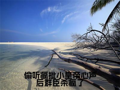 陆轻(偷听疯批小皇帝心声后群臣杀疯了)全文在线阅读无弹窗大结局_陆轻精选免费小说大结局阅读_偷听疯批小皇帝心声后群臣杀疯了