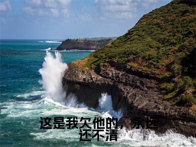 这是我欠他的,永远还不清(周凛秦南星)全文免费阅读无弹窗大结局_(周凛秦南星)小说免费阅读最新章节列表