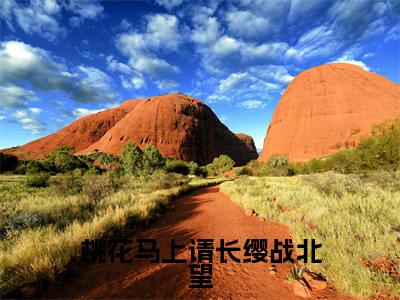 宋惜惜战北望(宋惜惜战北望)小说全文免费阅读正版无弹窗_桃花马上请长缨战北望小说免费阅读全文无弹窗_笔趣阁