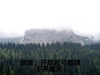 明贼:开局我与嘉靖不共戴天!无广告免费阅读-小说杨寒苍最后结局如何