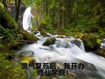 灵气复苏后,我开办修仙学院!在线阅读(秦缈)全文无弹窗大结局_秦缈全文在线阅读无弹窗