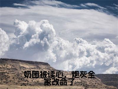 沈知念奶团被读心，炮灰全家改命了小说全文免费阅读_沈知念（奶团被读心，炮灰全家改命了）最新章节列表笔趣阁
