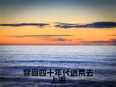 穿回四十年代逃荒去上海(王丽全章节完整版)免费阅读_(穿回四十年代逃荒去上海)王丽全文无删减免费阅读