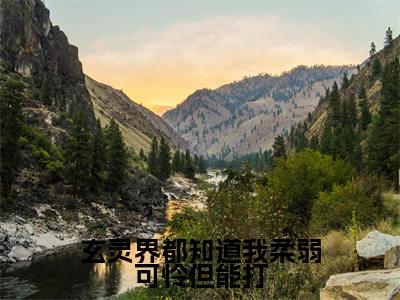 玄灵界都知道我柔弱可怜但能打（帝渊云窈）全文免费完结版阅读_（帝渊云窈）玄灵界都知道我柔弱可怜但能打最新章节列表笔趣阁