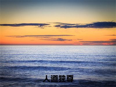 后续+全集林宇（完整版）热文小说阅读-林宇全文抖音热推