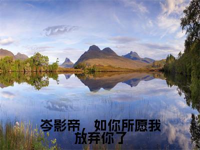 岑影帝,如你所愿我放弃你了(岑衍皓穆霓)全文免费阅读大结局_岑影帝,如你所愿我放弃你了全文在线完本阅读
