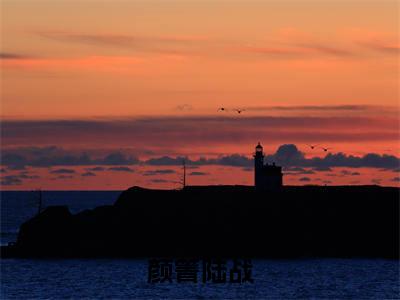 颜箐陆战(陆战颜箐)小说最新章节阅读-全网最新首发小说颜箐陆战(陆战颜箐)免费阅读全章节