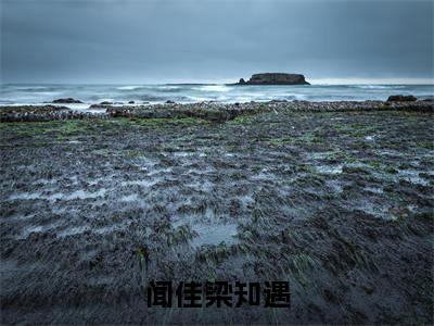 梁知遇闻佳（闻佳梁知遇）热门小说在哪免费看-梁知遇闻佳小说闻佳梁知遇全章节阅读