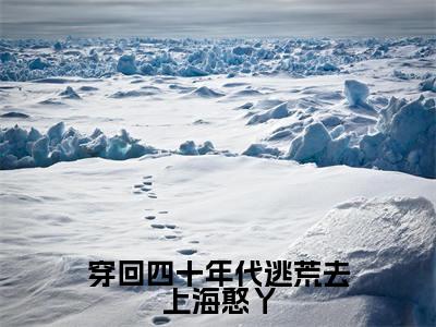 穿回四十年代逃荒去上海憨丫（王丽憨丫）免费小说-王丽憨丫全文阅读目录