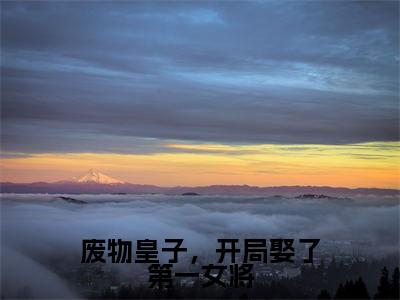 小说废物皇子,开局娶了第一女将在线阅读-正版小说《张寒慕容雪》废物皇子,开局娶了第一女将全文阅读