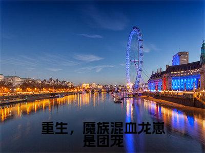 重生,魔族混血龙崽是团宠小说(墨善安)全文免费阅读无弹窗_(墨善安)重生,魔族混血龙崽是团宠最新章节列表